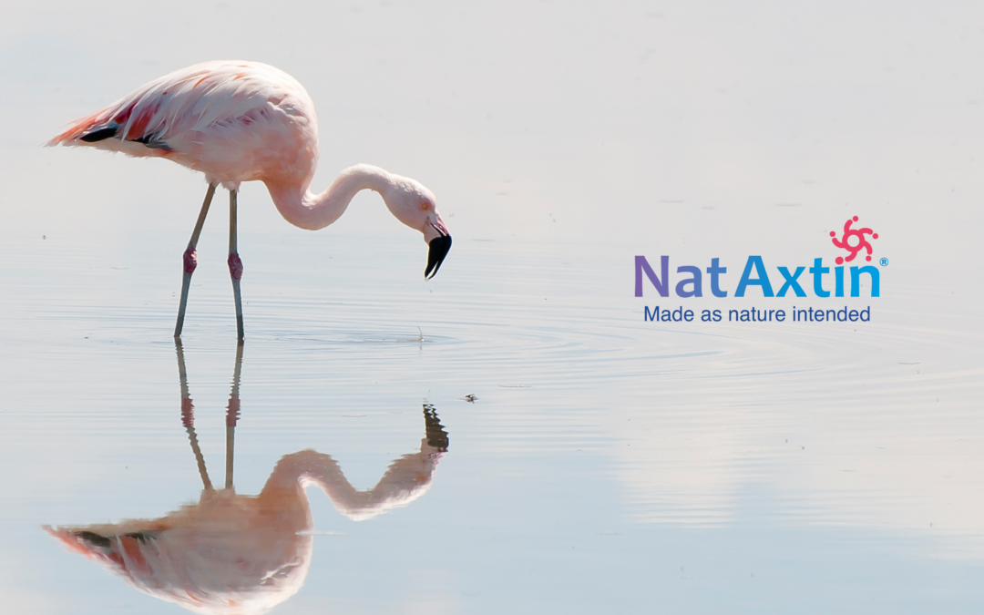 Nataxtin, Astaxanthin made as nature intended
