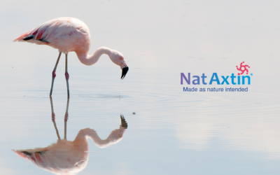 Nataxtin, Astaxanthin made as nature intended