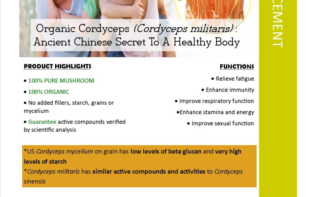 Organic Cordyceps (Cordyceps militaris) : Ancient Chinese Secret To A Healthy Body