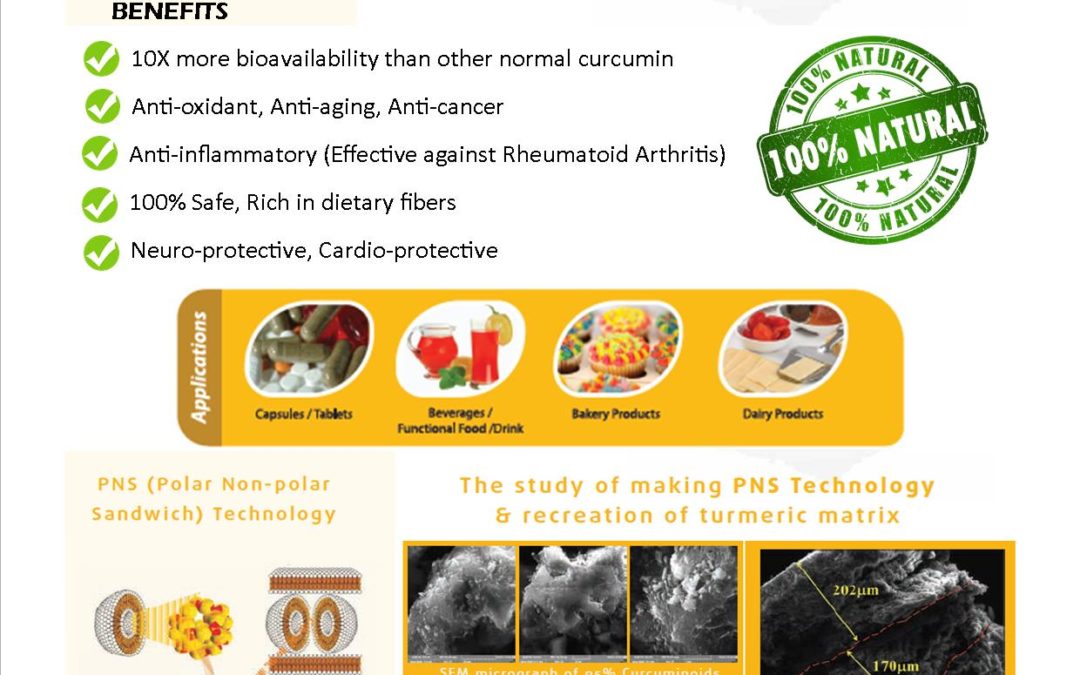 Cureit – The Best Curcumin Formulation