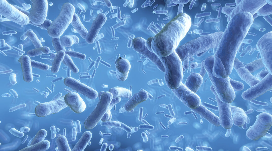 Probiotics May Aid in Cutting Down Antibiotic Use in Children