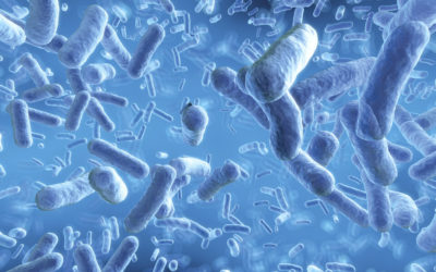 Probiotics May Aid in Cutting Down Antibiotic Use in Children