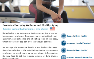 CarnoSyn®, one supplement with all the answers