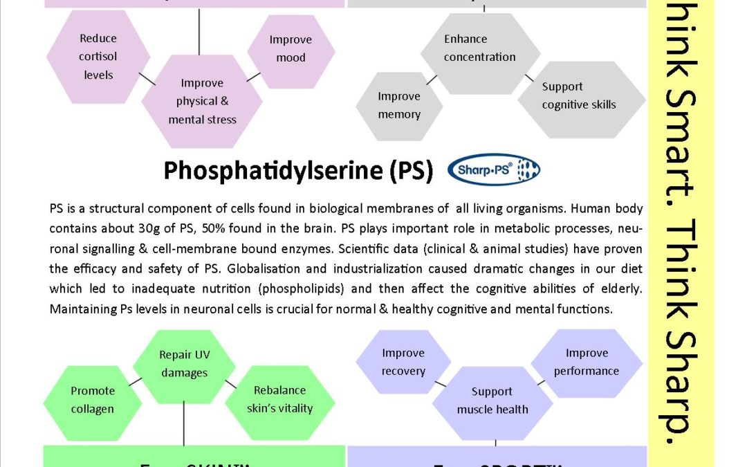 Phosphatidylserine (PS)