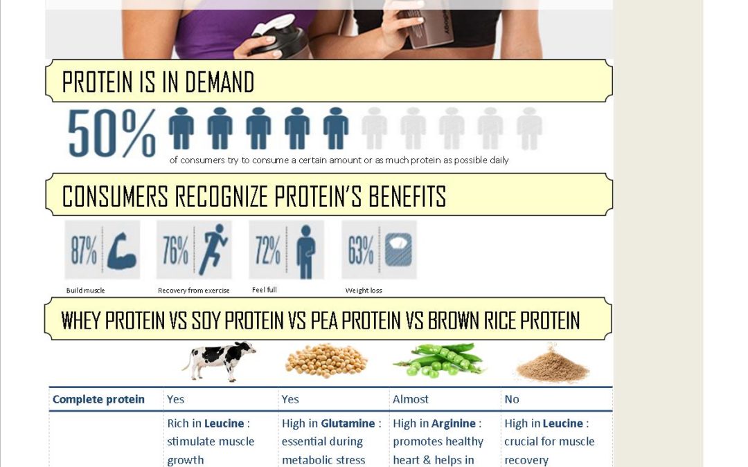 Which Protein Powder Is The Best?