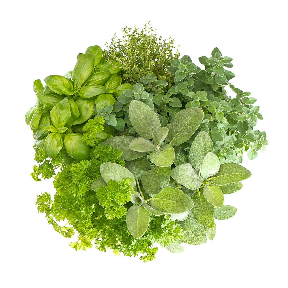 Nexus Wise - Image 13 - Variety Fresh Herbs