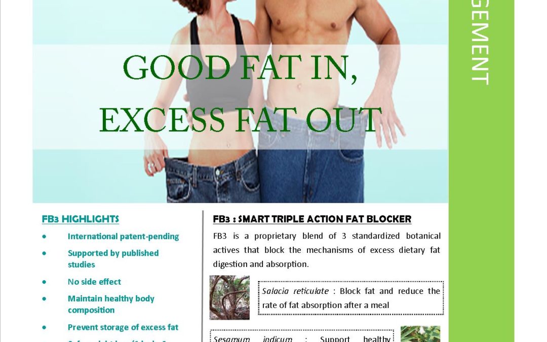 FB3 : Good Fat In, Excess Fat Out