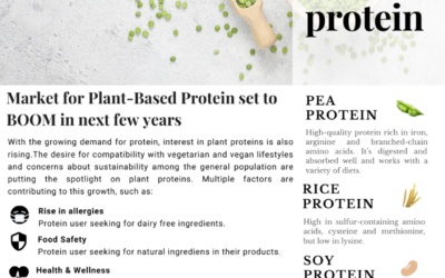 Market for Plant-Based Protein set to BOOM in next few years