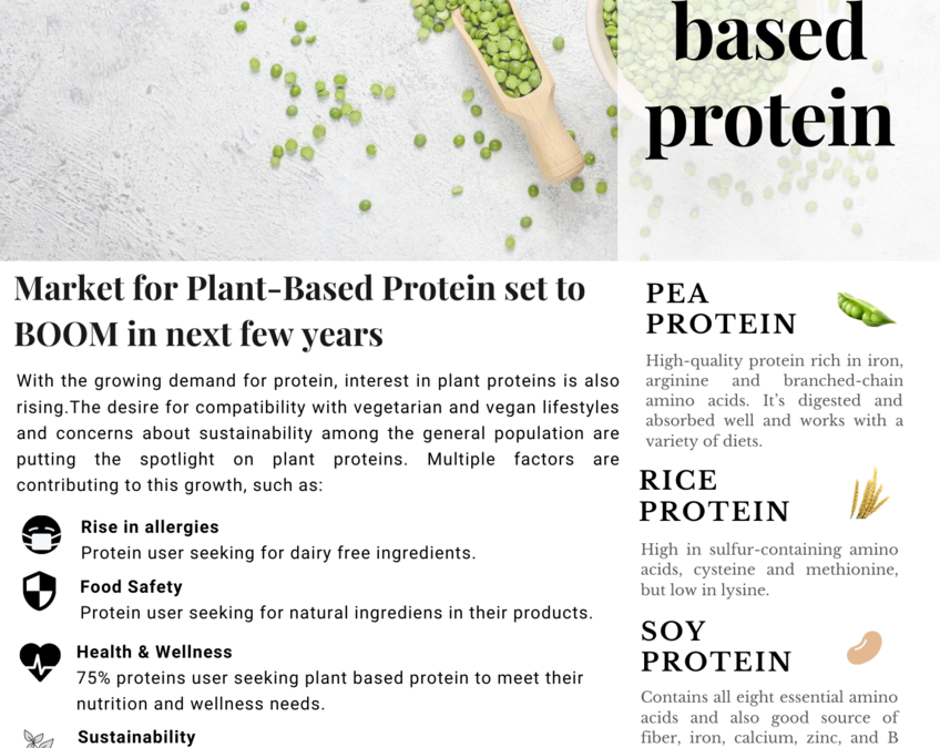 Market for Plant-Based Protein set to BOOM in next few years