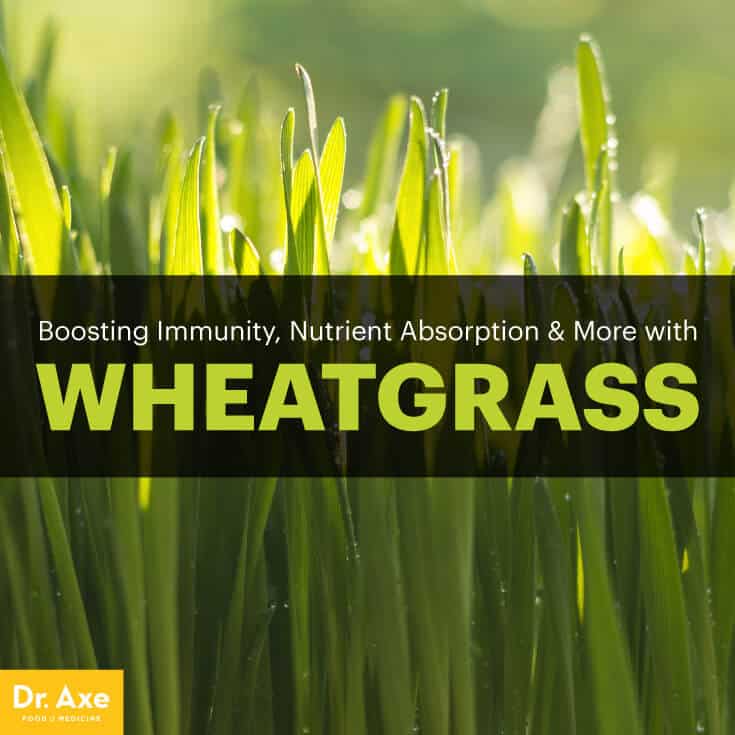 Wheatgrass benefits - Dr. Axe