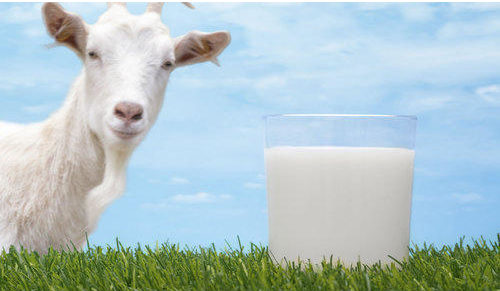 Goat Milk Malaysia