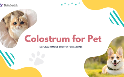 ColostrumOne™️: One Pet Food Perfect For All Pets