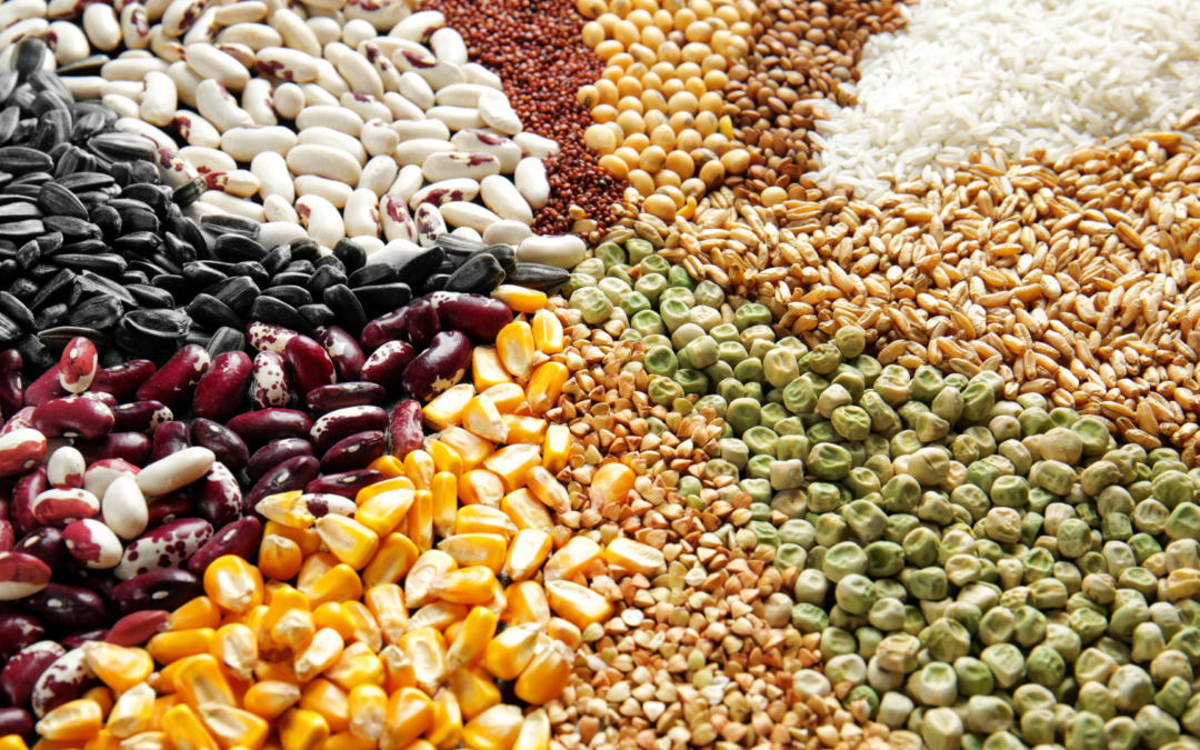 Greens, Grains & Seeds
