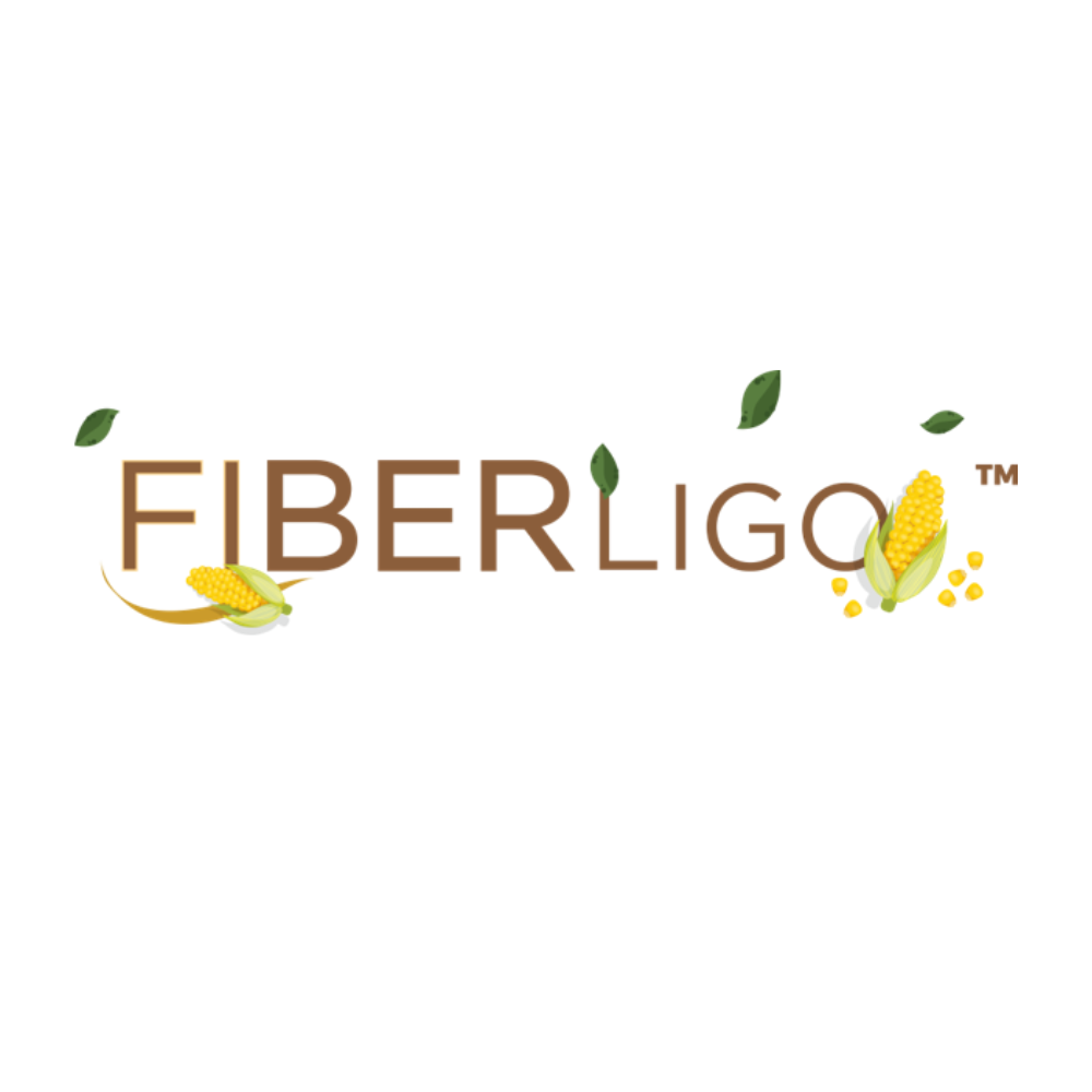 FiberLigo Logo 