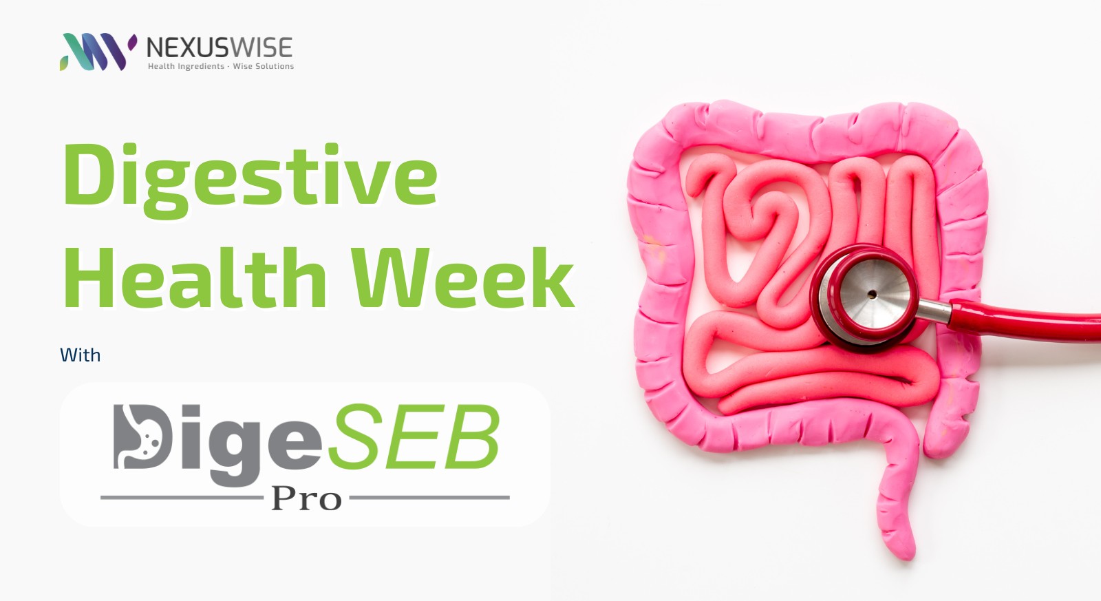 nexus wise malaysia digestive health week digeseb pro™ for optimal gut health