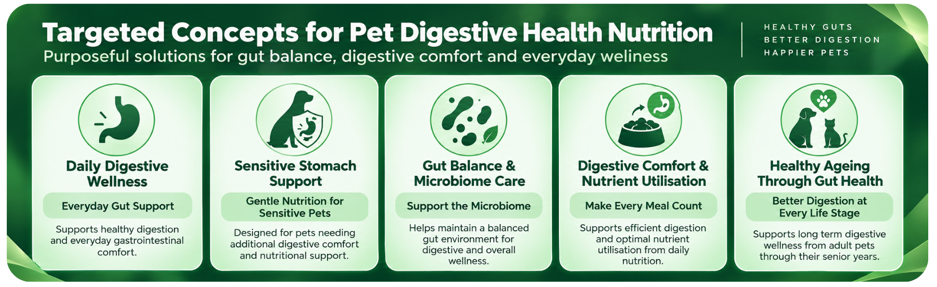 Nexus Wise - Digestive Health - 02 nexus wise digestive health 02
