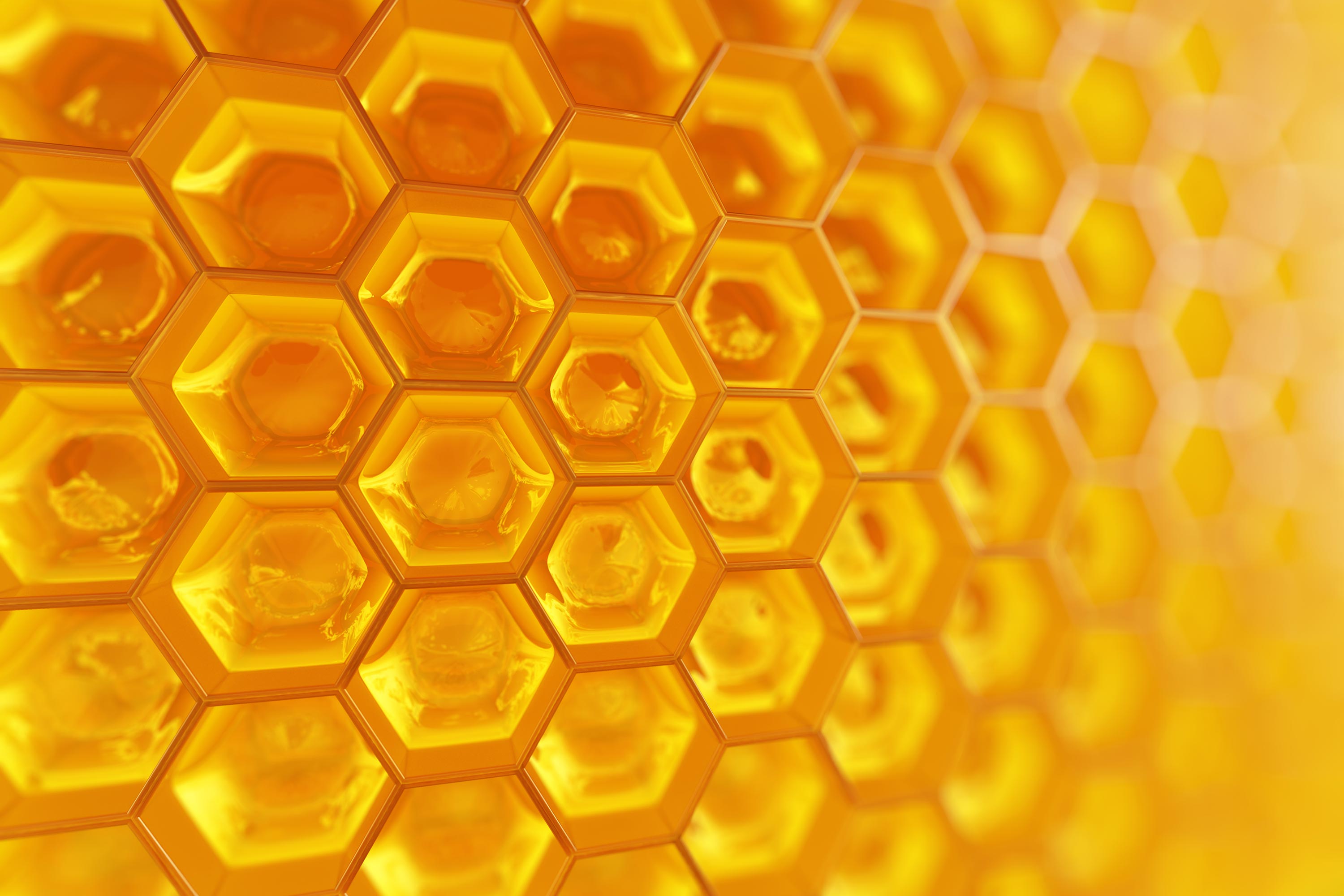 Nexus Wise - Background 23 - Honeycomb, Raw Honey