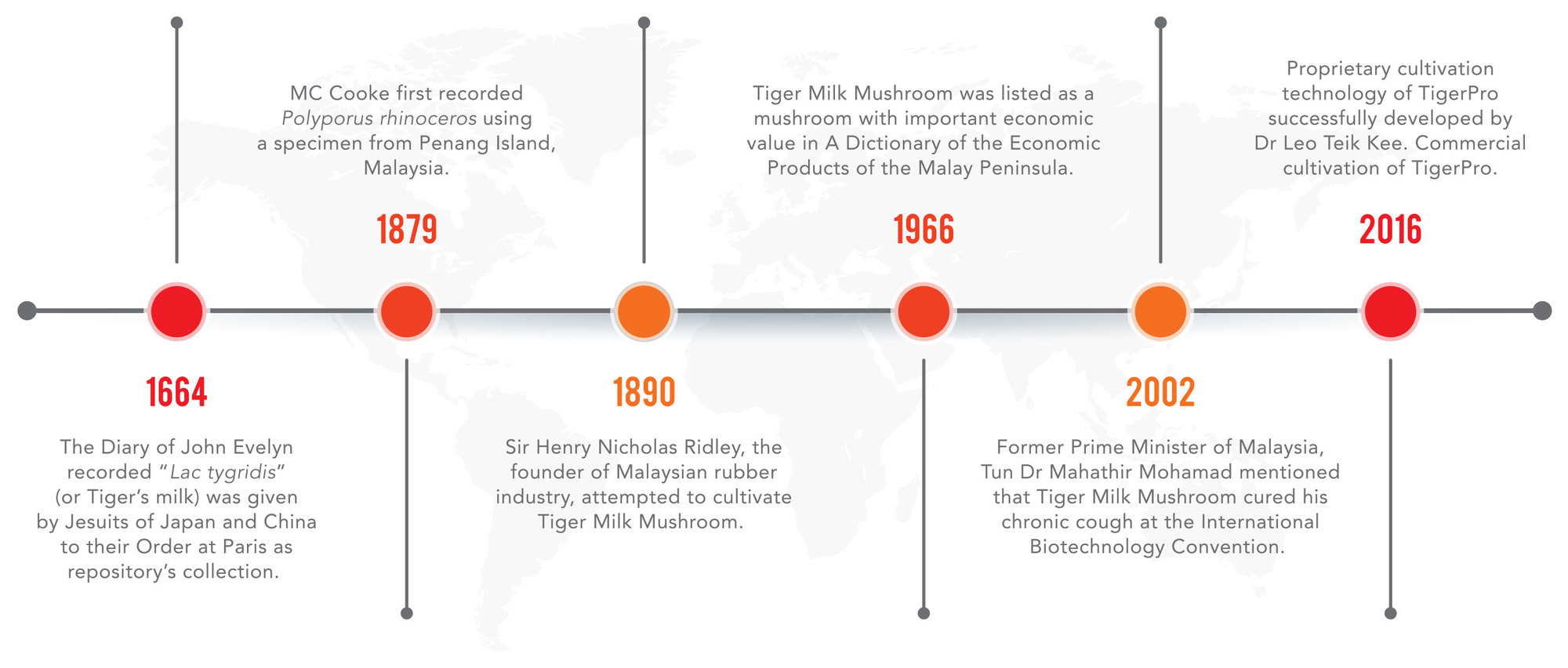 TigerPro Timeline