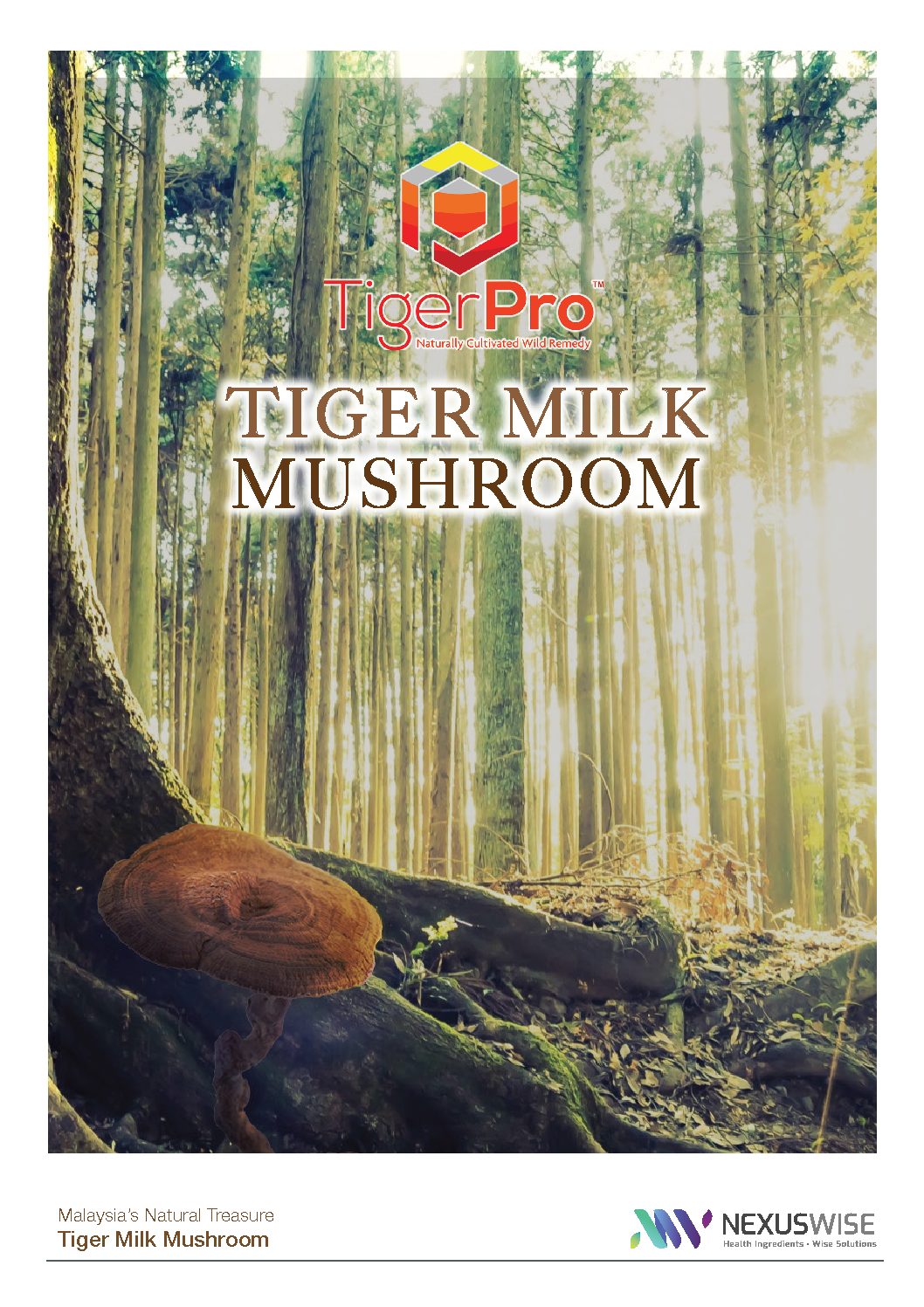 TigerPro Tiger Milk Mushroom