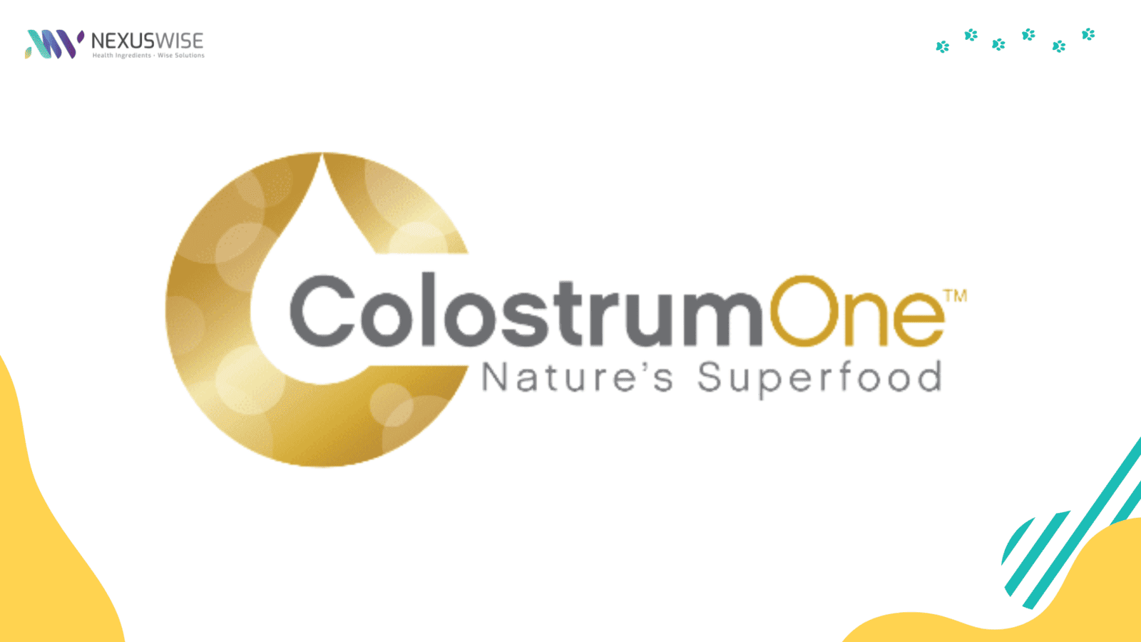 colostrum for pet 3