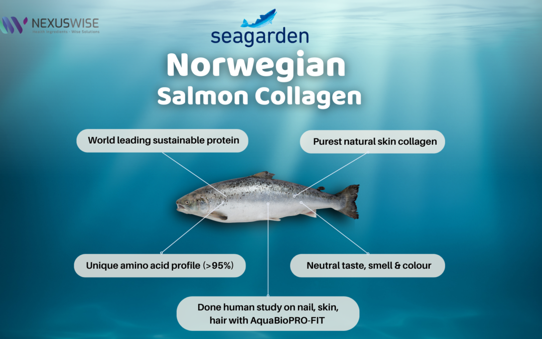 A New Era in Collagen Peptides: Norwegian Salmon is the Key