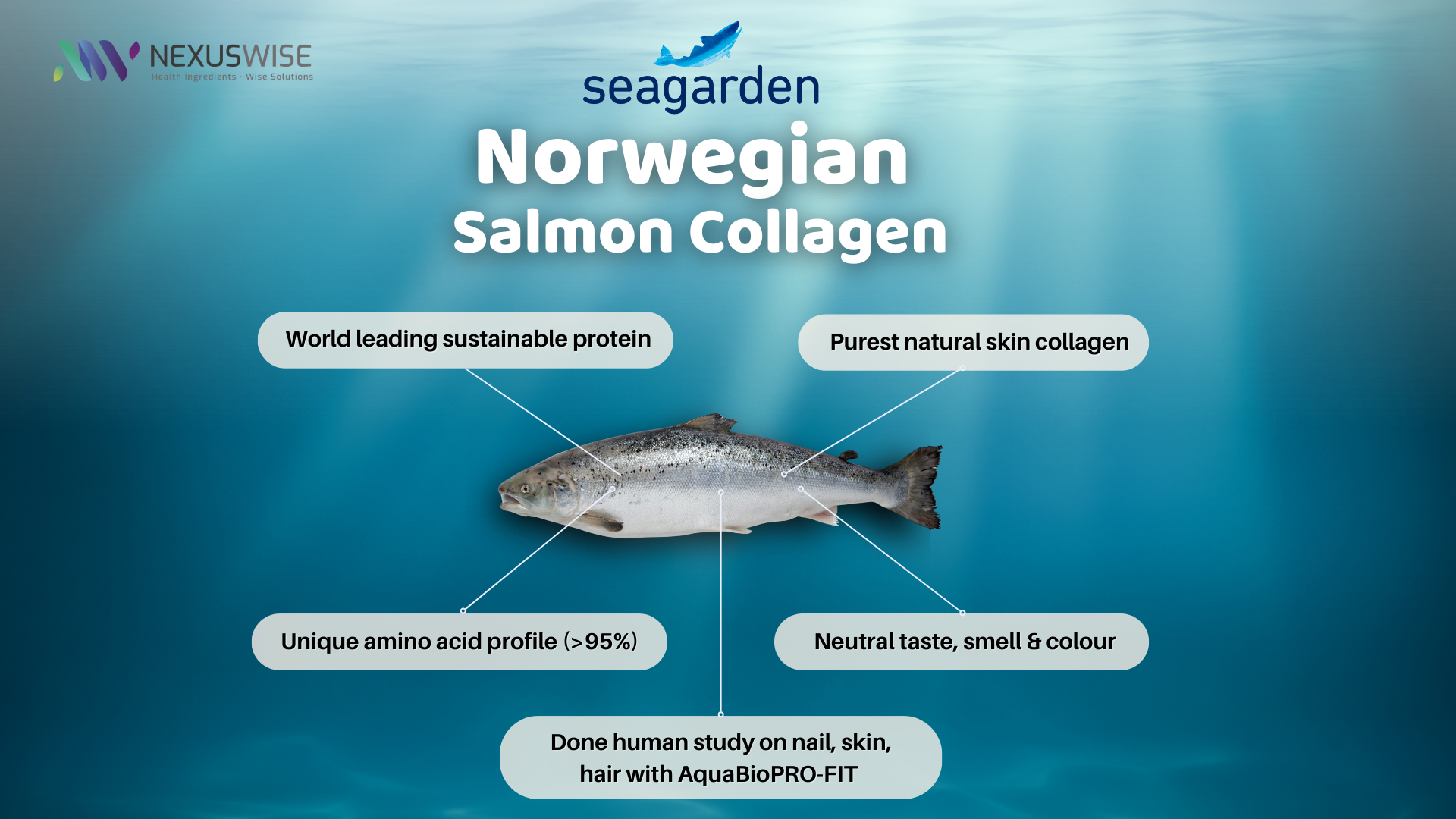 A New Era in Collagen Peptides: Norwegian Salmon is the Key - Nexus ...