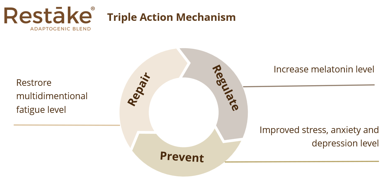 nexus wise award winning restake® eases europe’s stress 05