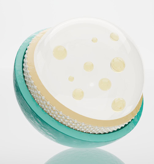 nexus wise lpboost™ from hormone chaos to harmony naturally 05