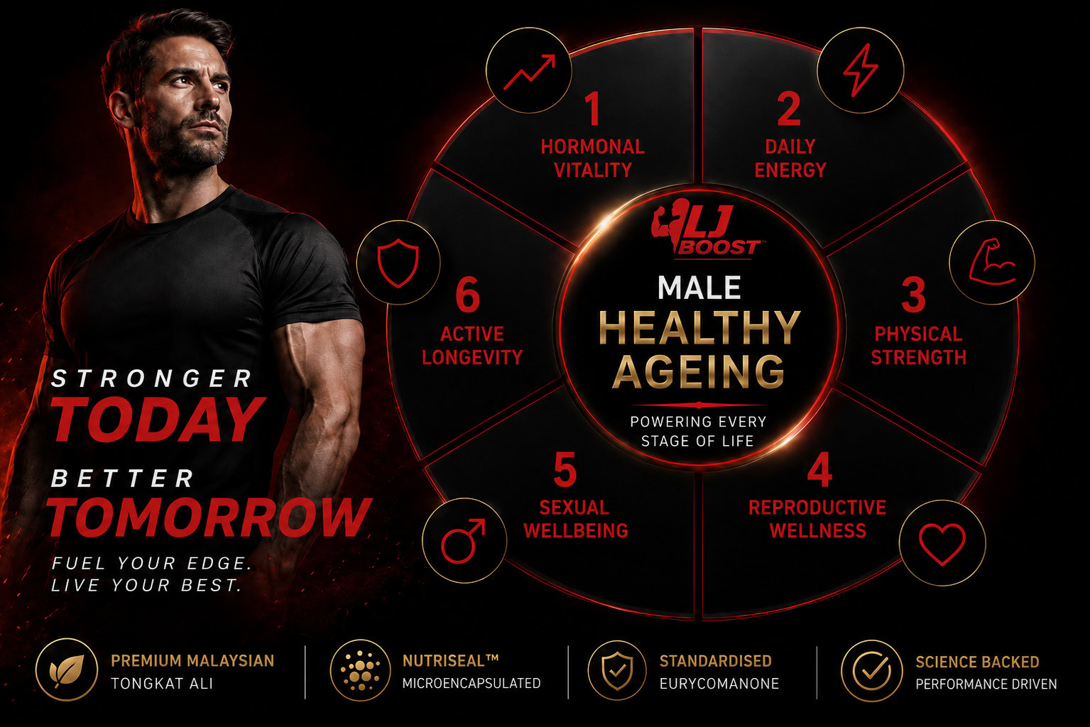 nexus wise six dimensions of male healthy ageing 03